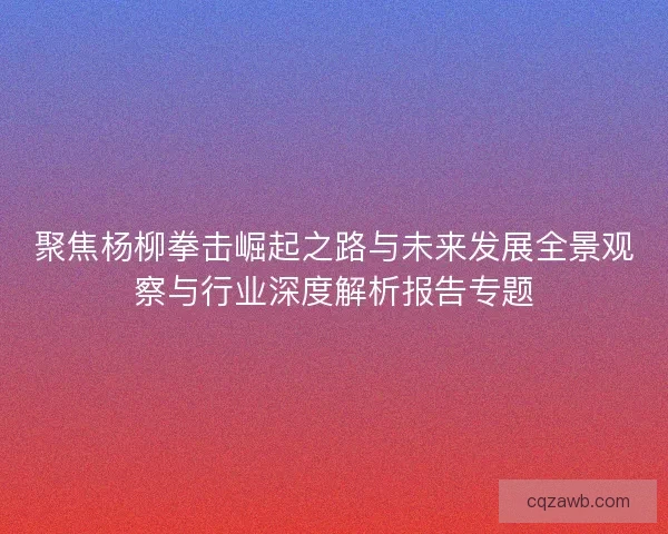 聚焦杨柳拳击崛起之路与未来发展全景观察与行业深度解析报告专题